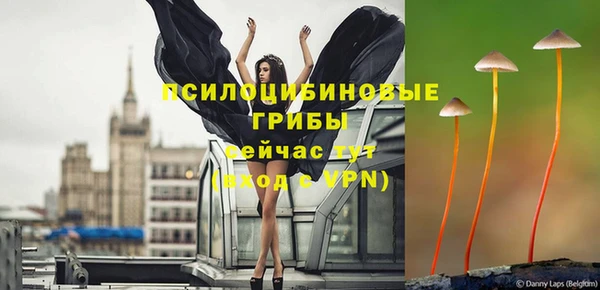 СК Алзамай