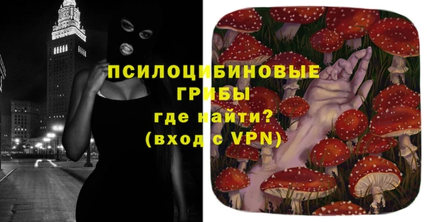 МДПВ Рославль
